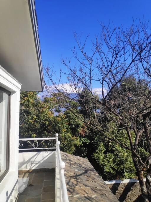 Ghost Villa Pokhara With Mountain View 20Mins From Main Area Ranipauwa Экстерьер фото